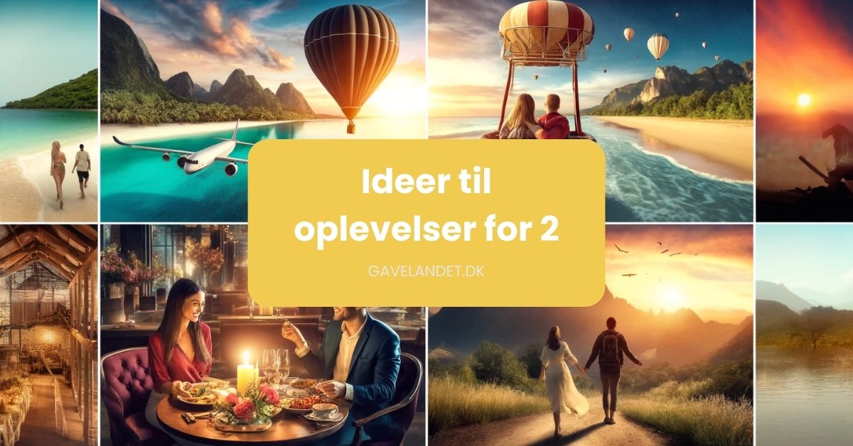 Oplevelser for 2